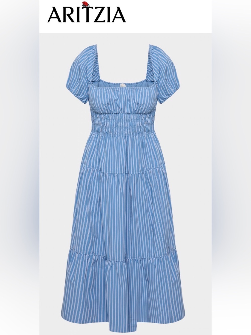 Aritzia Blue Striped Allegoria Poplin Dress